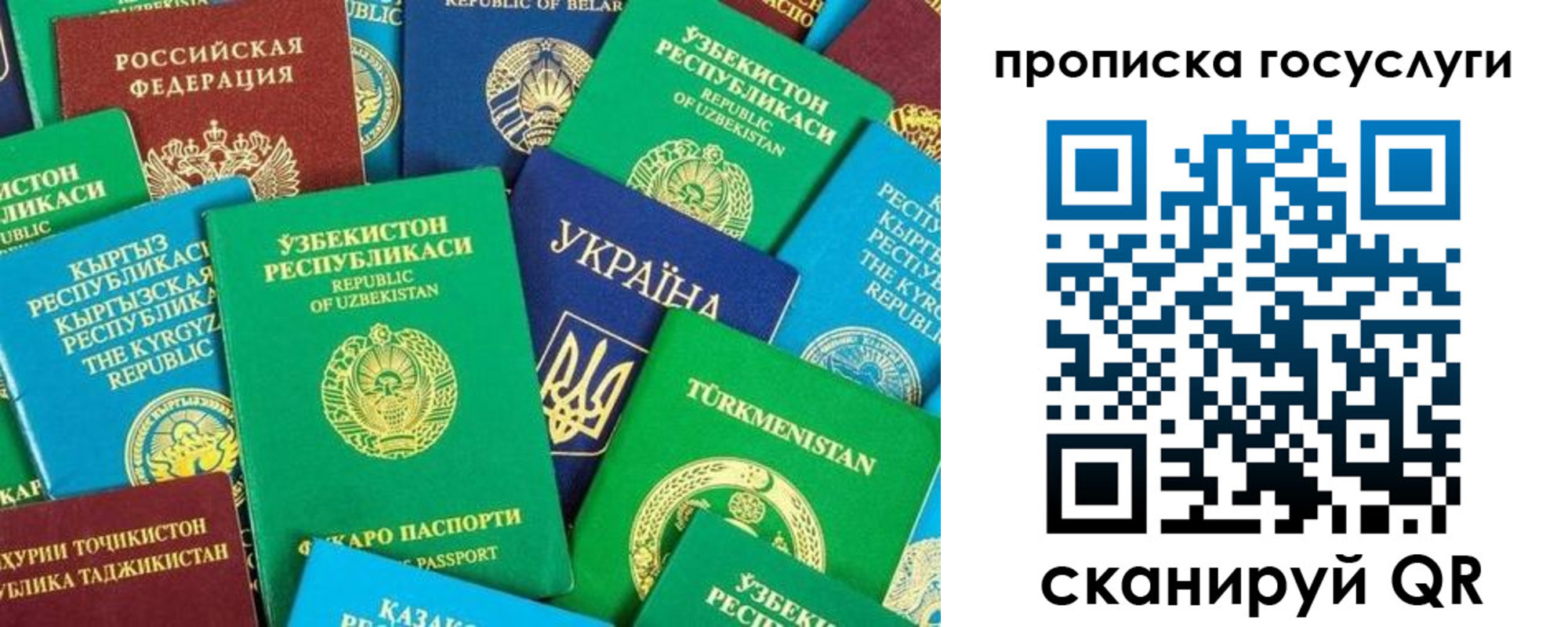 временная регистрация для всех в Ярославской области